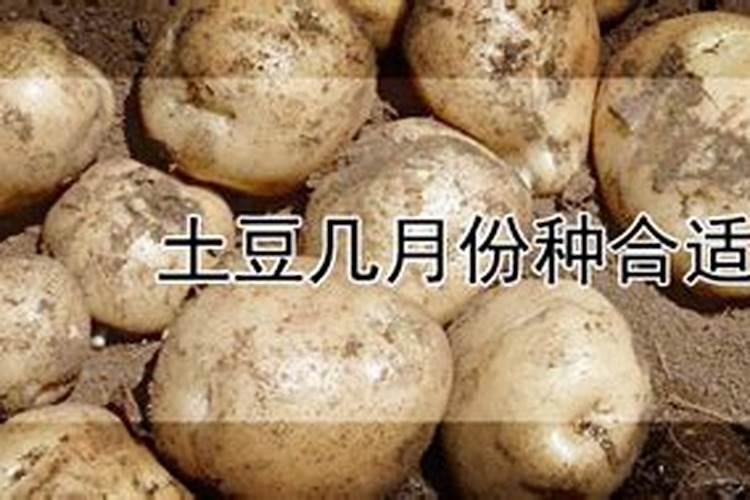 灭小人的最佳方式