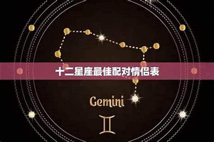 做梦梦到猫丢了又回来了