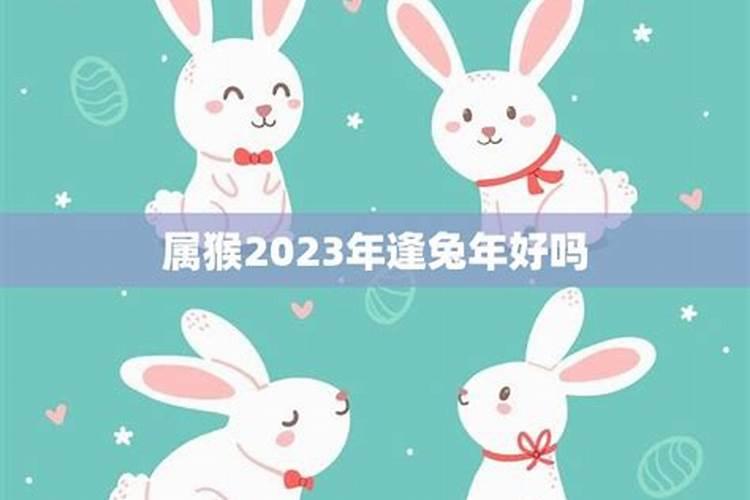 四大生肖旧爱回归