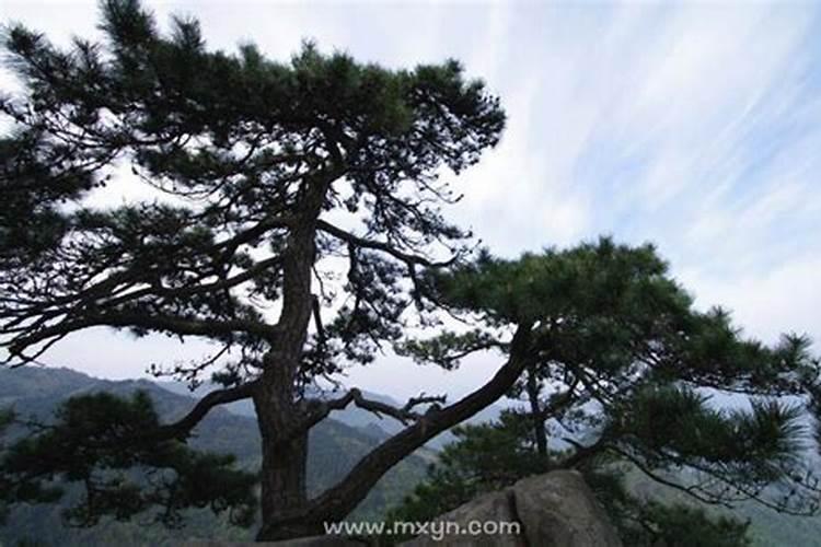 梦见老板发工资了的预兆