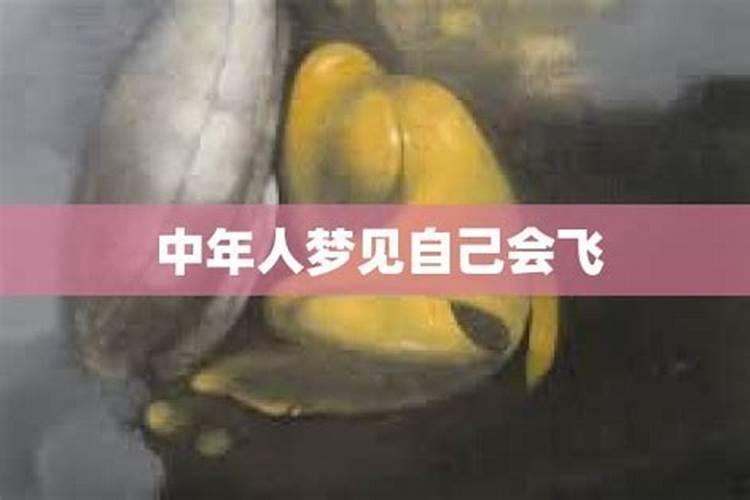 梦见自己会飞是什么意思
