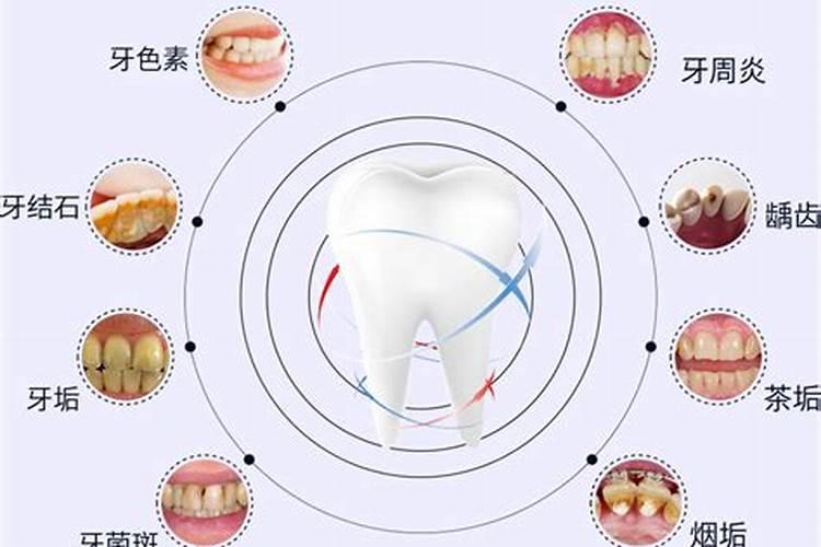 梦见马蜂窝是什么意思？