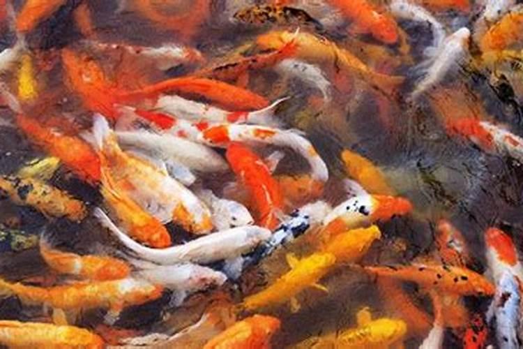 梦见老公出车祸了是什么意思