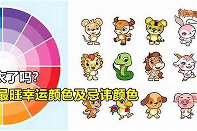 2025年属龙人的运势如何