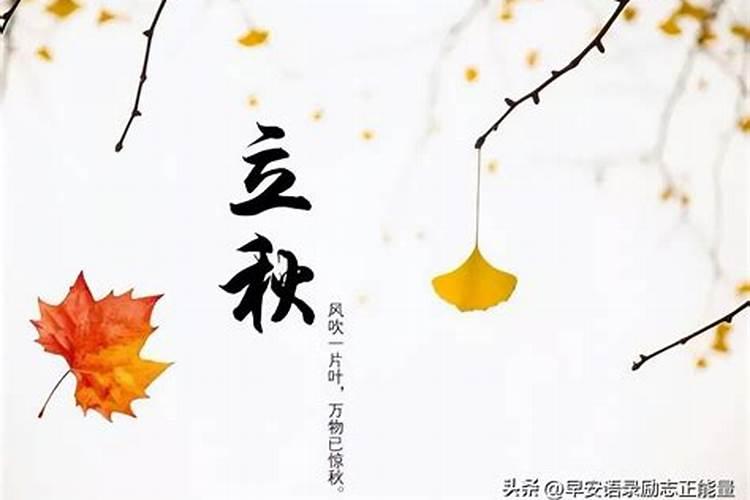 梦见和老公离婚了很伤心是什么预兆？