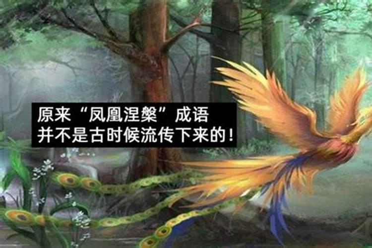 浴大重生有后福是什么生肖