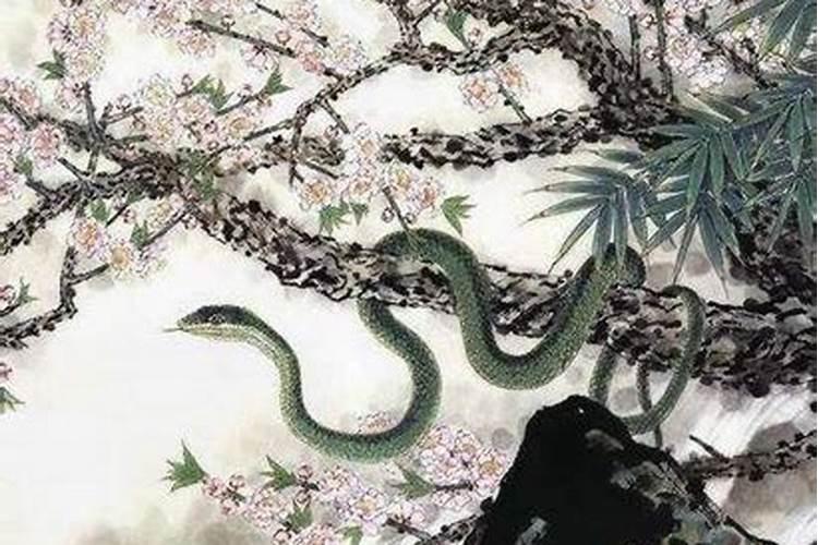 77年大年初一生日的蛇是什么命777大年初一出生的蛇命苦吗,有没有熬...