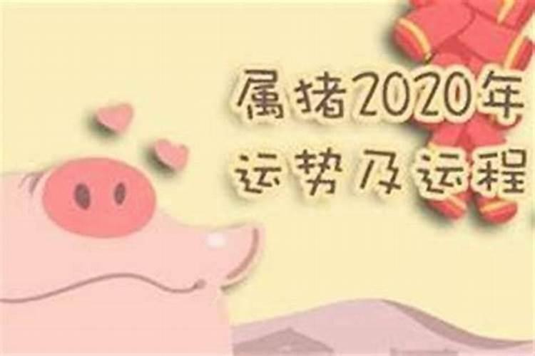 属牛和属猪的相配吗患难见真情的组合？