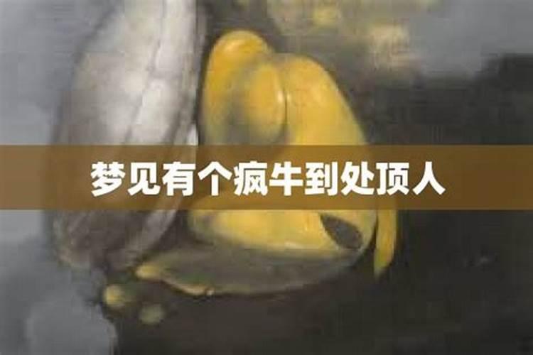 农历1987年9月9日是什么星座？