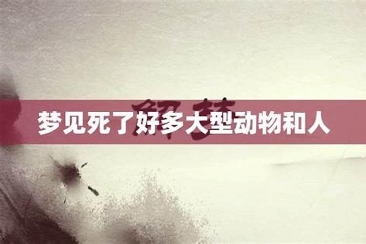 梦到好多人惨死的场面
