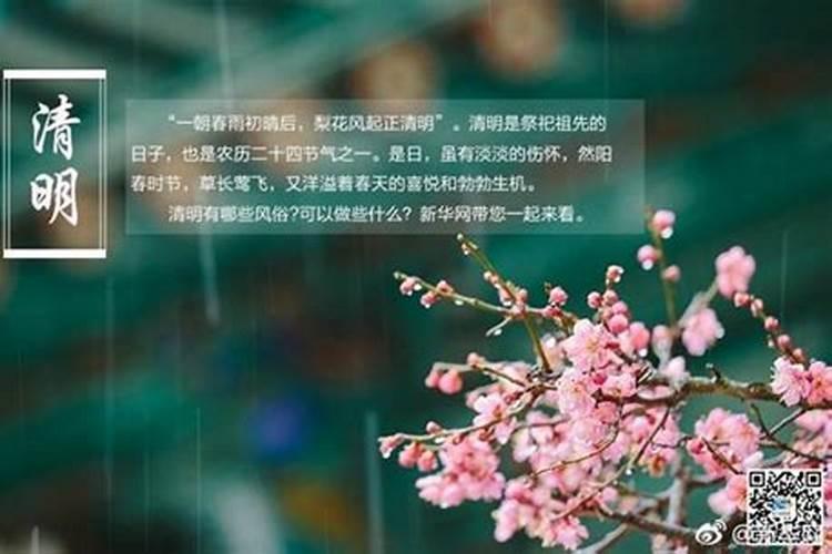 清明节祭拜祖先的意义