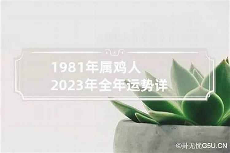 1981年属鸡人2024年运势及运程详解