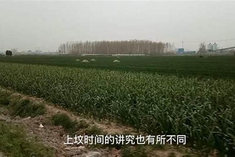 清明应该什么时候上坟