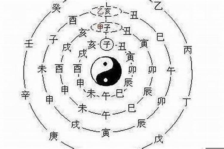 八字是看十神还是支神,八字看天干十神还是地支十神