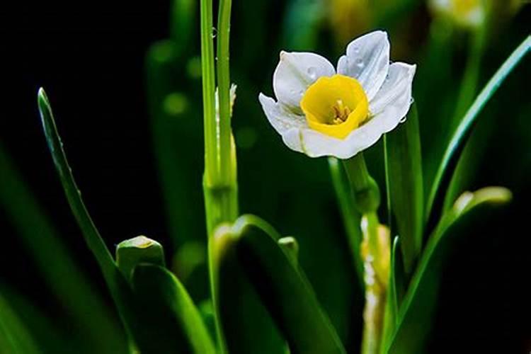 关于清明节搞笑幽默句子