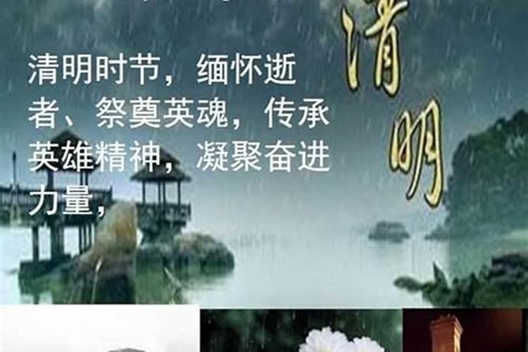 生肖猪2025年运势 属猪2025年运势及运程