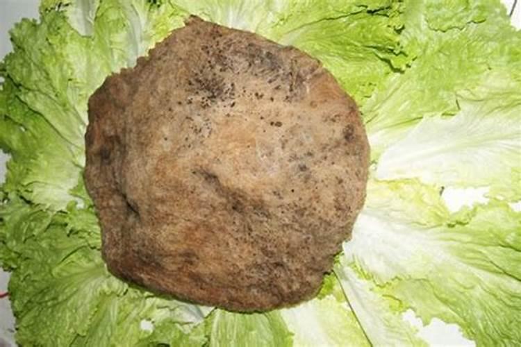 太岁多少钱