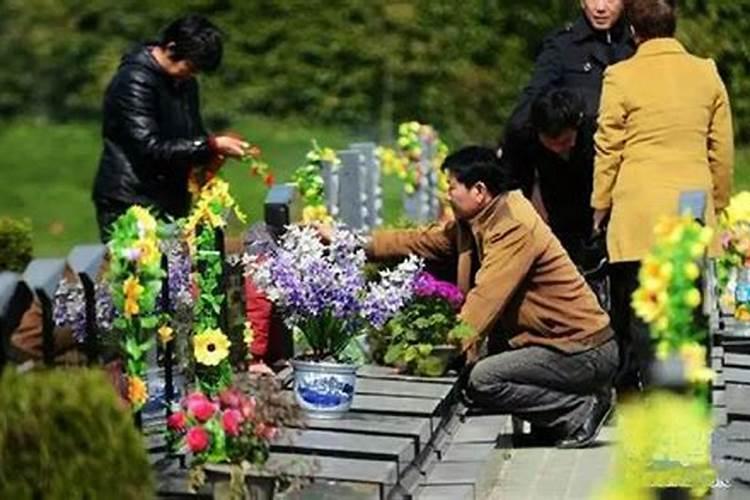 孕妇梦见龙在水里游