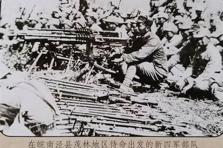 属鼠2025年6月份运势