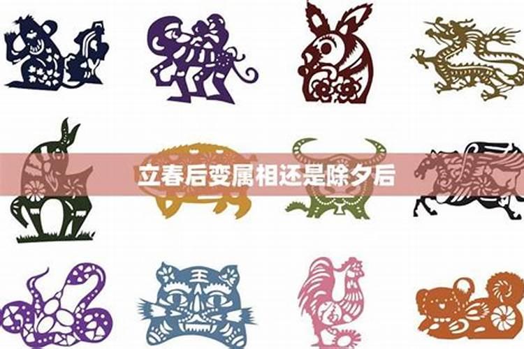 1997属牛2025年运势运程如何