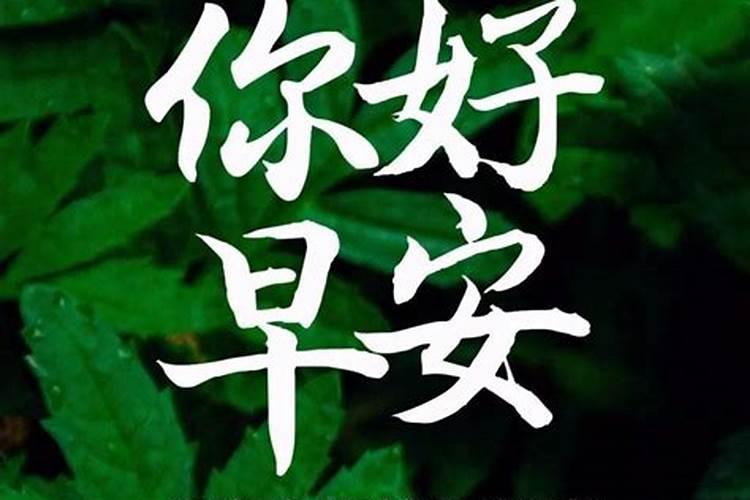 冬至日和夏至日北京日出日落的时间？