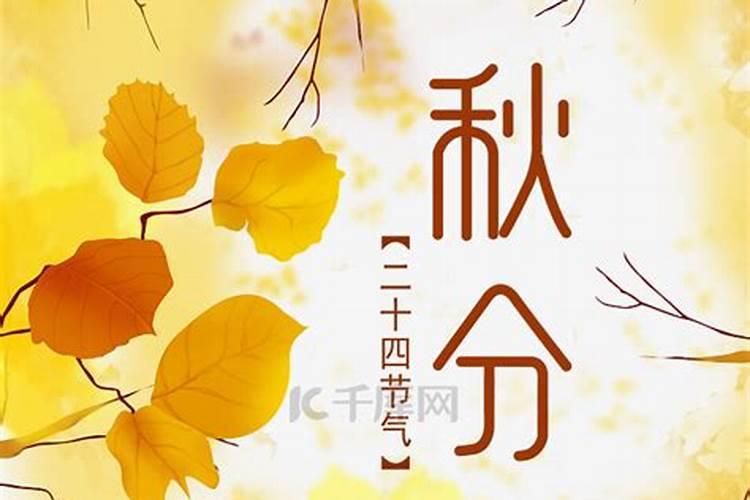77年蛇男的一生命运如何,1977年属蛇人的后半生命运