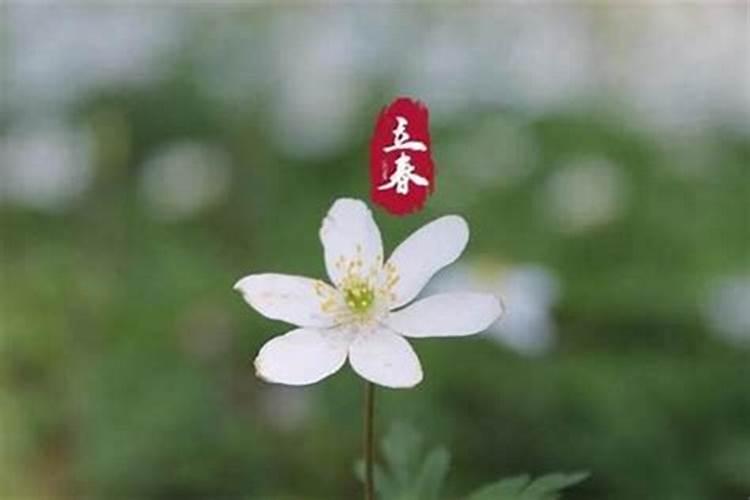 《史记》中为啥会有三个部分记载失真的案例？