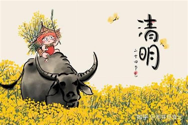 生肖猪2025年运势