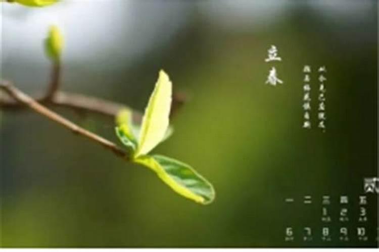 24年立春是几月几号