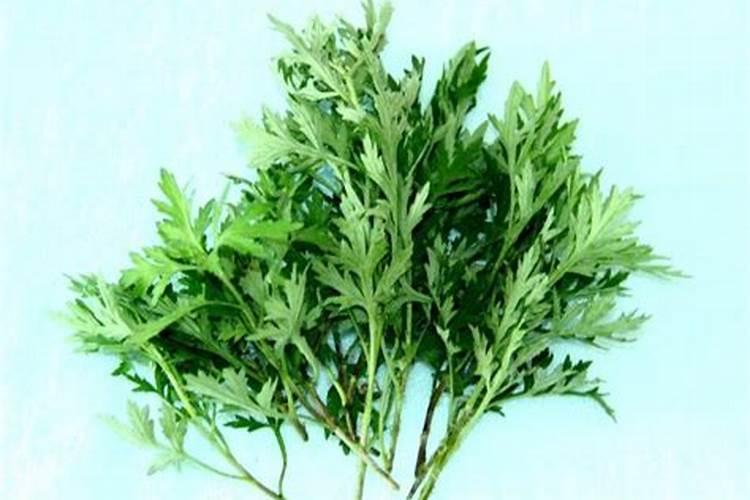 端午节的艾叶什么时候挂门上