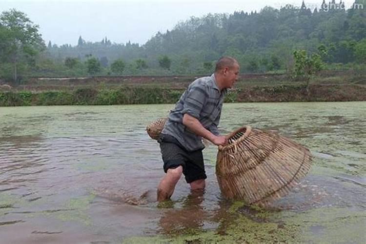 梦见清清的水里捞鱼的预兆
