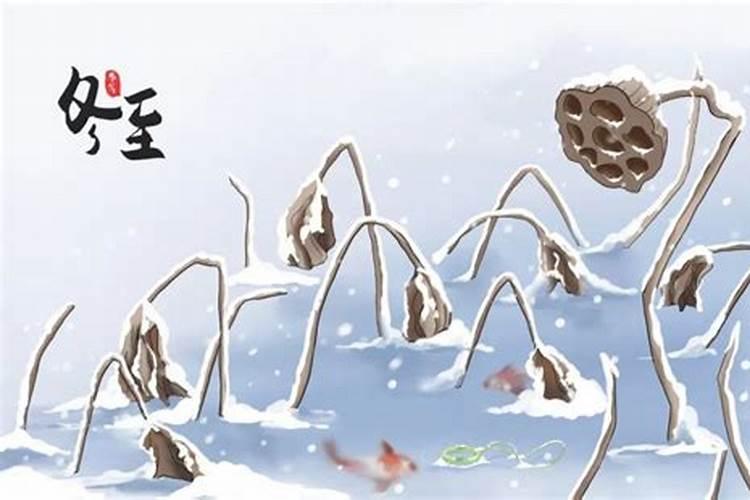 一掌经十二宫解说,一掌经十二命宫怎么看