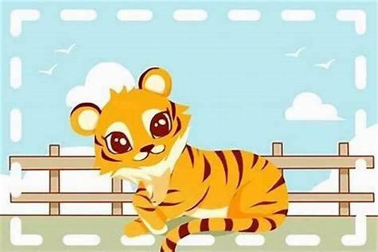 属龙在虎年运势怎么样