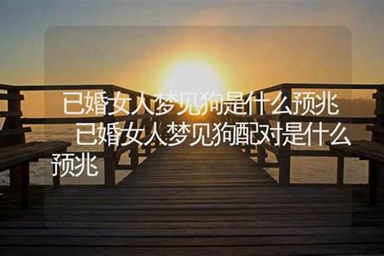 男人梦到狗是什么征兆 是好事还是坏事