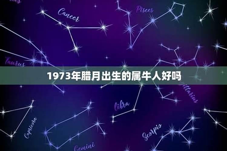 属牛的腊月出生最好命 一帆风顺容易成功？