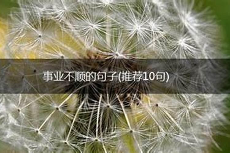 当事业、爱情、家庭同时出现不顺利的状况,应该怎样去应对呀
