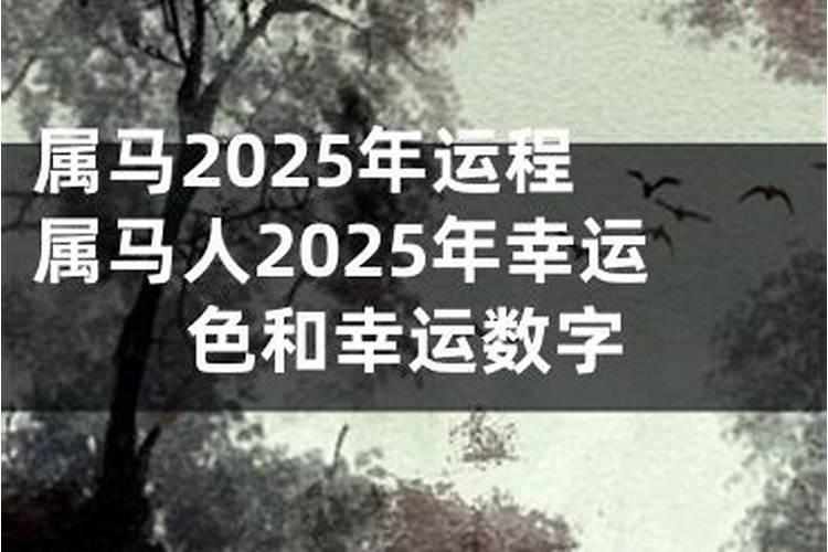 92年猴2025年运势完整版