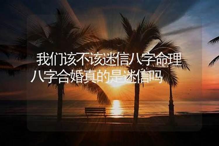 属马和属狗的合不合