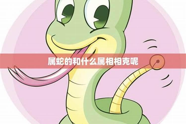属蛇人一辈子的克星是谁呢