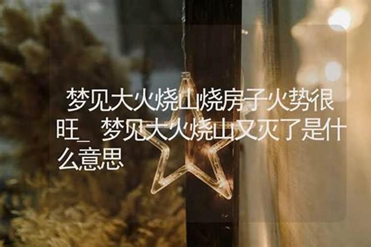 梦见自己家被烧一半的预兆