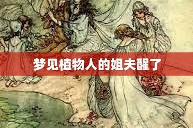 关于端午节的作文,300400字