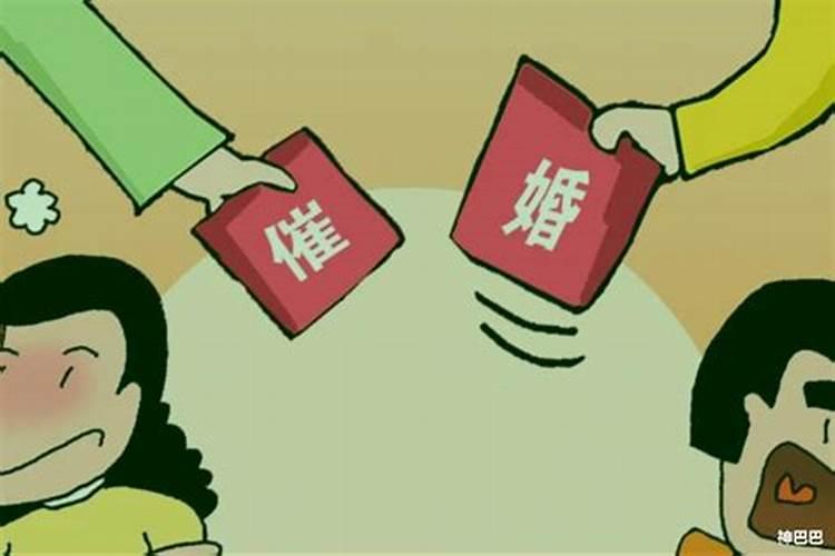 土笋冻的典故