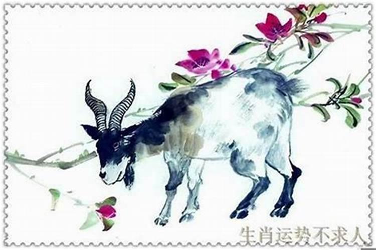1991年属羊女人婚姻命运,91年属羊女一生感情运