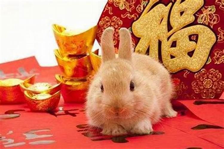 属鸡的几月出生较好命