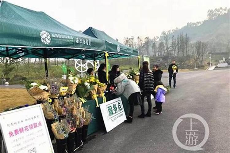 重庆到贵州苗家寨多少公里
