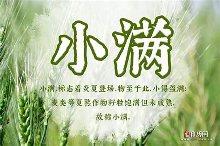 小满的意思是什么