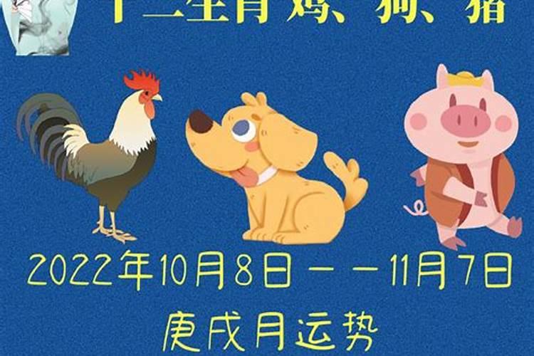 两个人合不合是看属相还是看八字 八字合婚的注意事项？