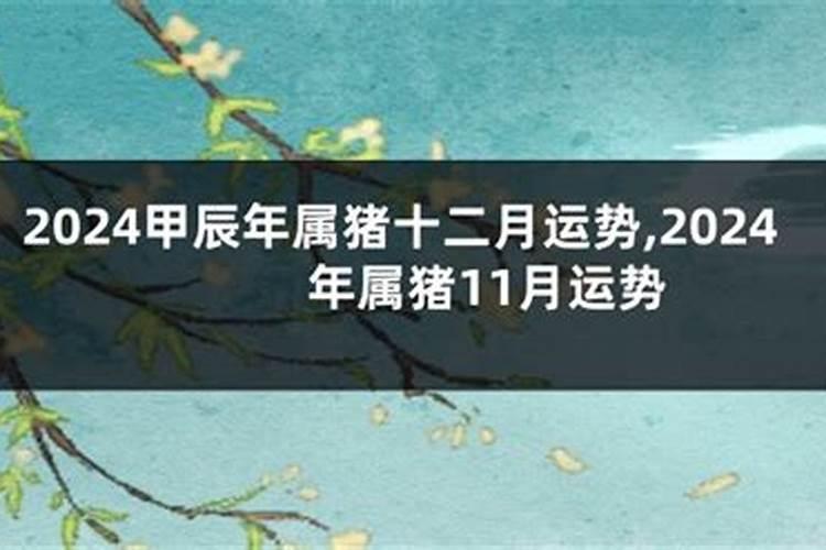 属猪的人腊月运气怎样 适合投资理财？