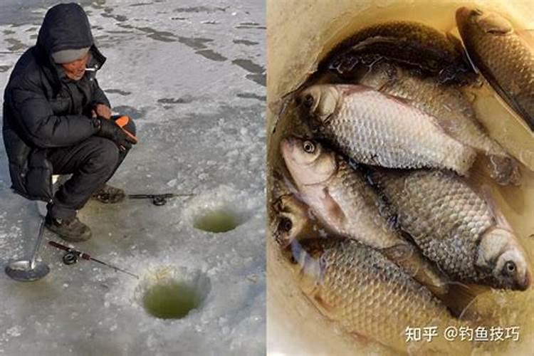 二十四节气冬至在河流钓鱼技巧用什么鱼饵料