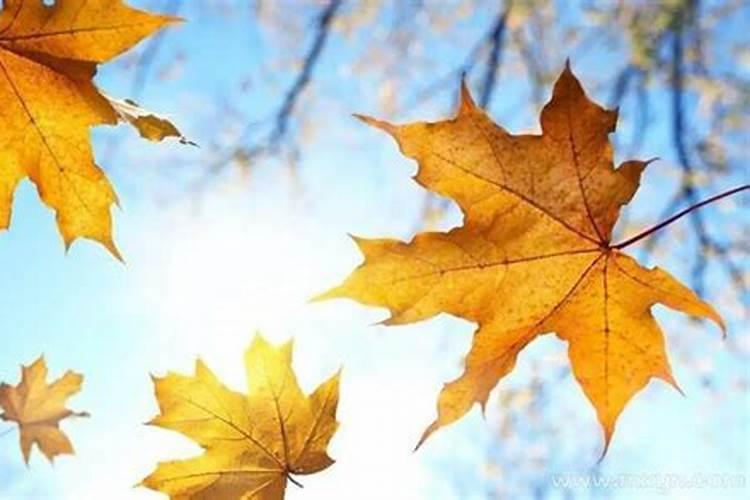 请帮忙取名虎年出生的女孩,阴历2010年12月20日,阴历11月15日16点50出...